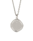 EARTH Medal