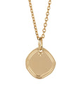 EARTH Medal