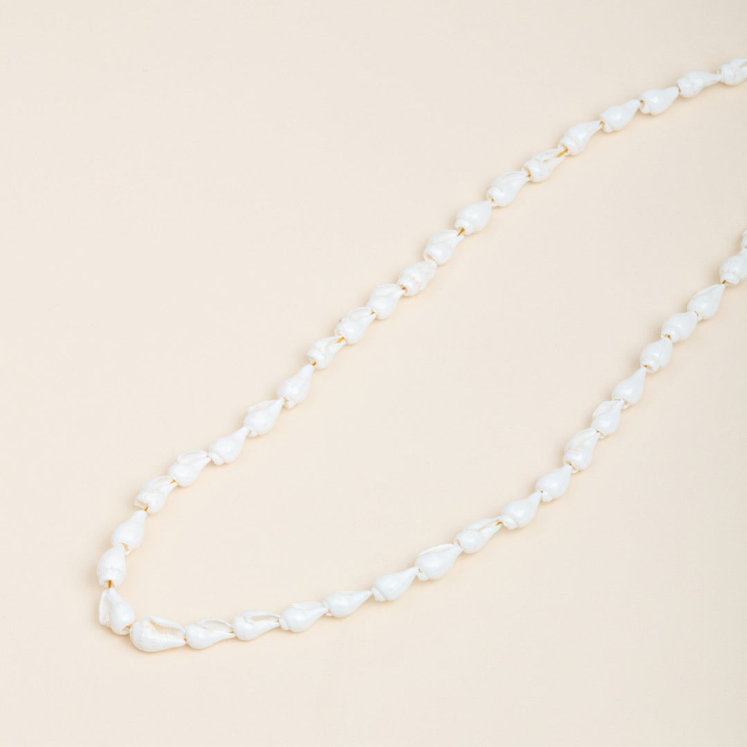 Collier SEDAR