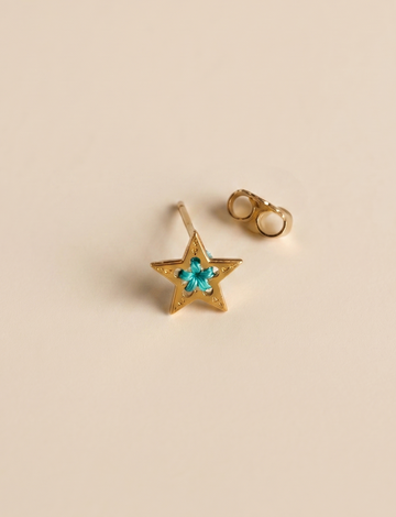 Puces d'oreilles Mini Étoile . MEBHA