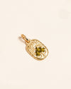 Scarab Amulet. haj 